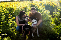 Duncan, Steffi and Pups Sunflower Session 23